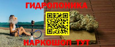 прущие крисы Кингисепп