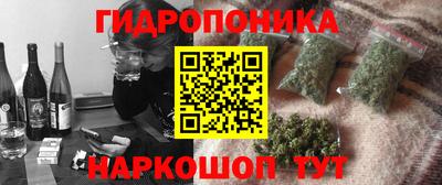 прущие крисы Кингисепп
